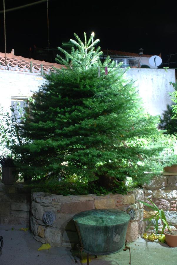 Ferienwohnung "The Stone" Agios Vlasios  Exterior foto